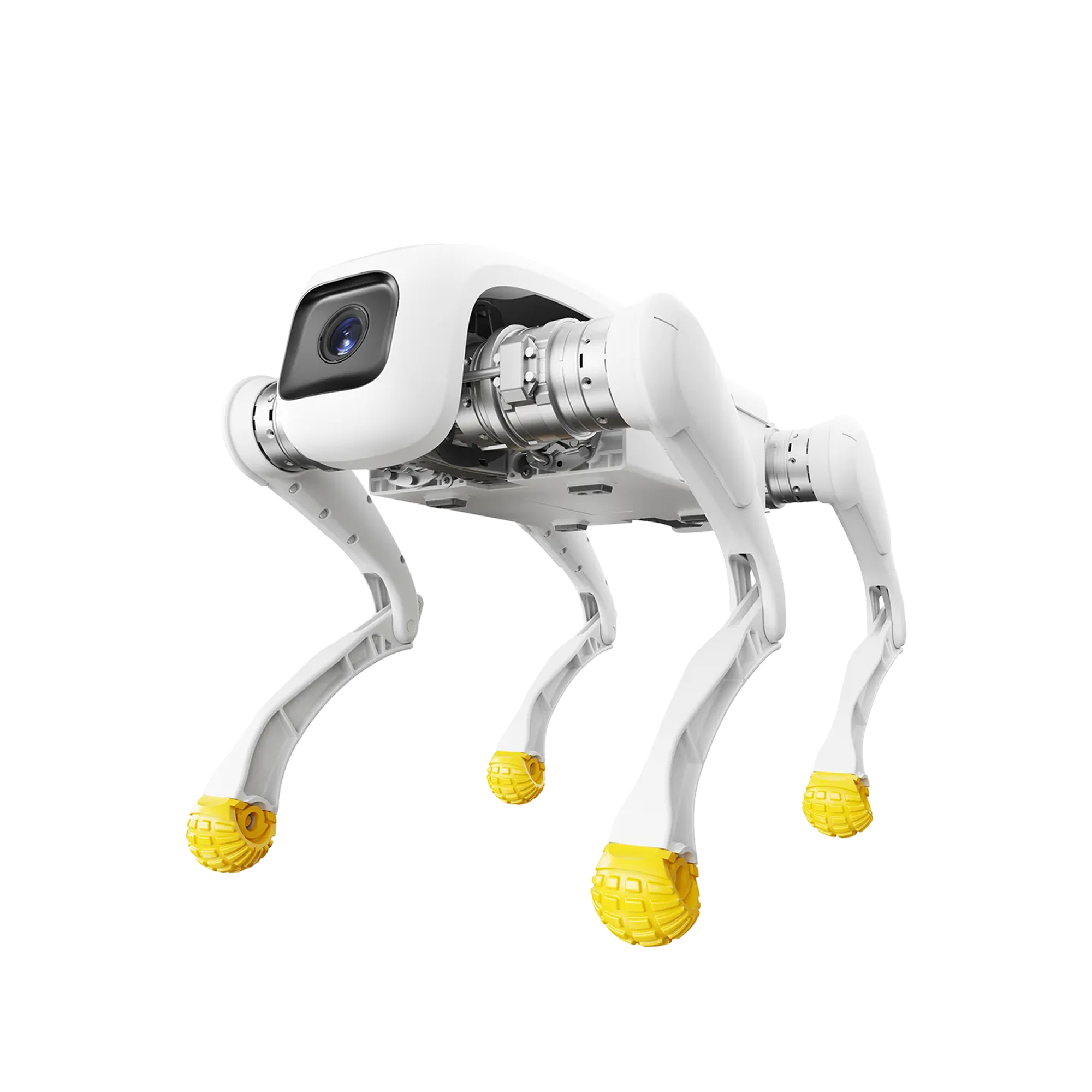 Product photo AGIBOT D1 robot dog